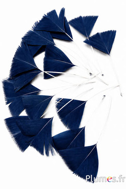 Pétales en plumes - 6-8 x 3-4 cm - bleu nuit